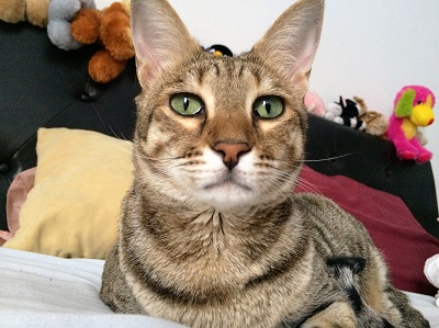 Rika always looks sad!!